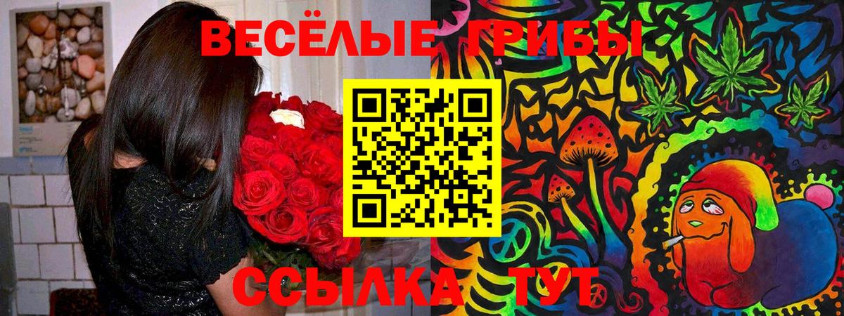 Воскресенск  Галлюциногенные грибы Psilocybine cubensis  Вход с VPN  Галлюциногенные грибы GOLDEN TEACHER 